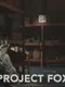 Project Fox Online