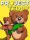Project Teddy