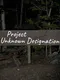 Project Unknown Designation