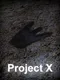 Project X