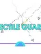 Projectile Guardian