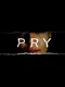 Pry