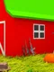 Pumpkin Death Garden