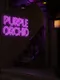 Purple Orchid