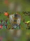 Pursuit of Power 2