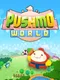 Pushmo World