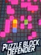 Puzzle Block Defender