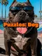 Puzzles: Dog