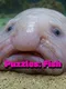 Puzzles: Fish