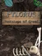 Pylorus: Footsteps of Greed