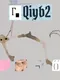 Qiyb2