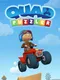 Quad Puzzler