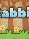 RabbiruN