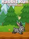 Rabbit Run Carrot Hunt