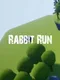 Rabbit Run