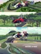 Racing Stars