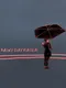Rainy Day Racer