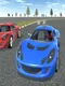 Rally Drift Cars