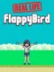 Real Life Flappy Bird