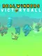 Real Winners: Victoryball