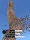 Realistic Tower Destruction