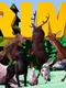 RimPark: A Burning World