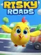 Risky Roads