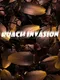 Roach Invasion
