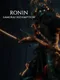 Ronin: Samurai Redemption