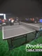 Rookie Table Tennis