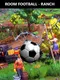 Room Football: Ranch