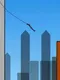 Rope 'n' Fly