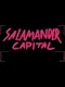 Salamander Capital