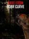 Save from Bobr Curve