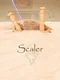 Scaler