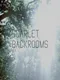 Scarlet Backrooms