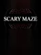 Scary Maze