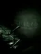 SCP 087 B