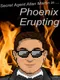 Secret Agent Allan Martin in ... Phoenix Erupting