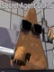 Secret Agent Dorito