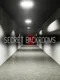 Secret Backrooms 2