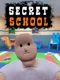 Secret School