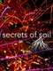 Secrets of Soil