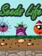 Seeds Life