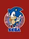 SegaSonic Cosmo Fighter