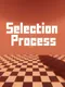 Selection Process