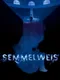 Semmelweis