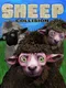 Sheep Collision
