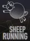 Sheep Running