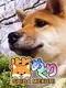 Shiba Mekuri